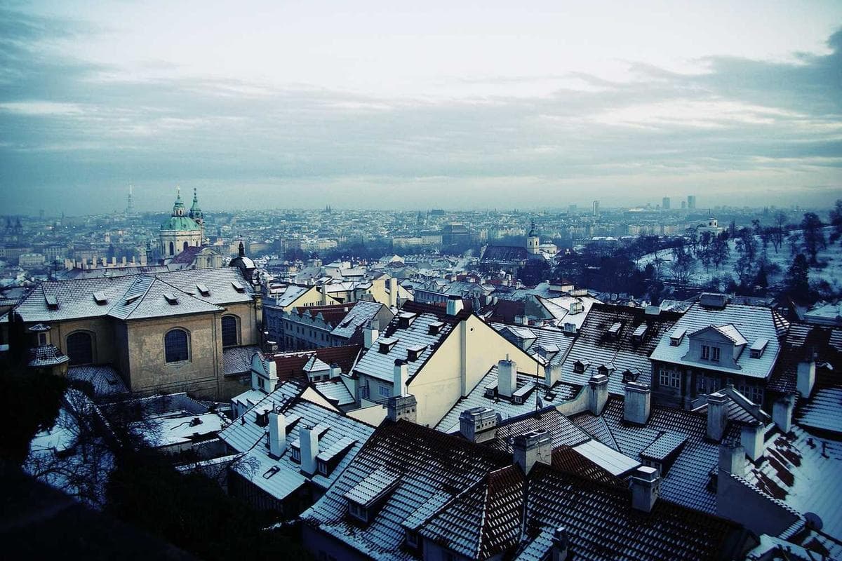View of Nutty Palace